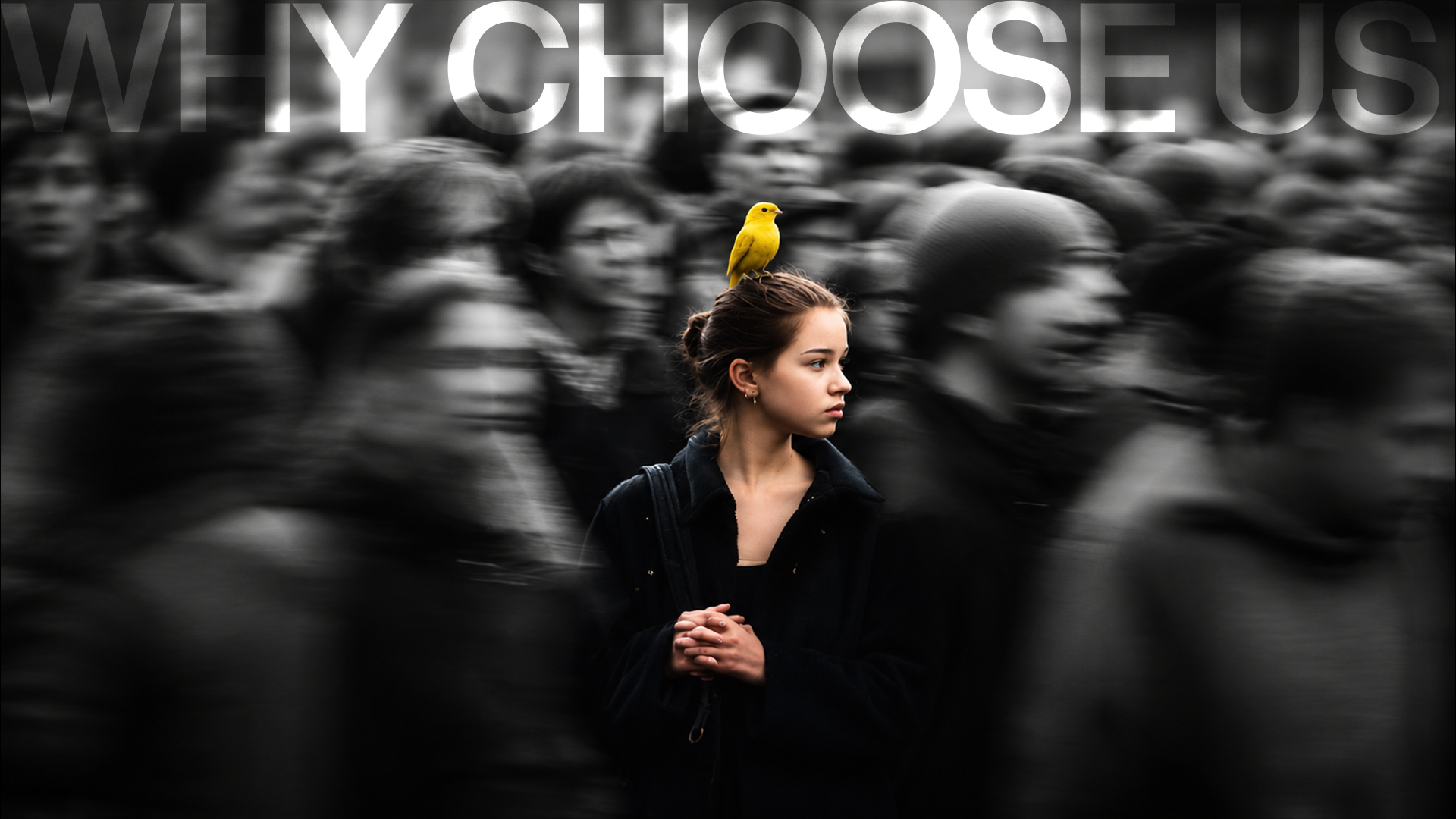 why choose us